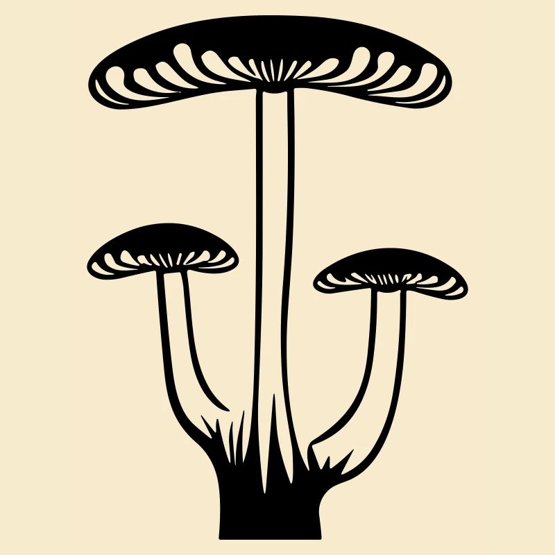 Champignon