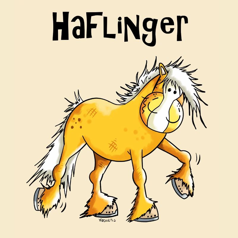 Hazel der Haflinger