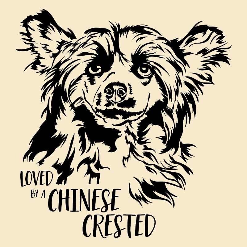 Loved by a Chinese Crested Hunde Hund Wilsigns