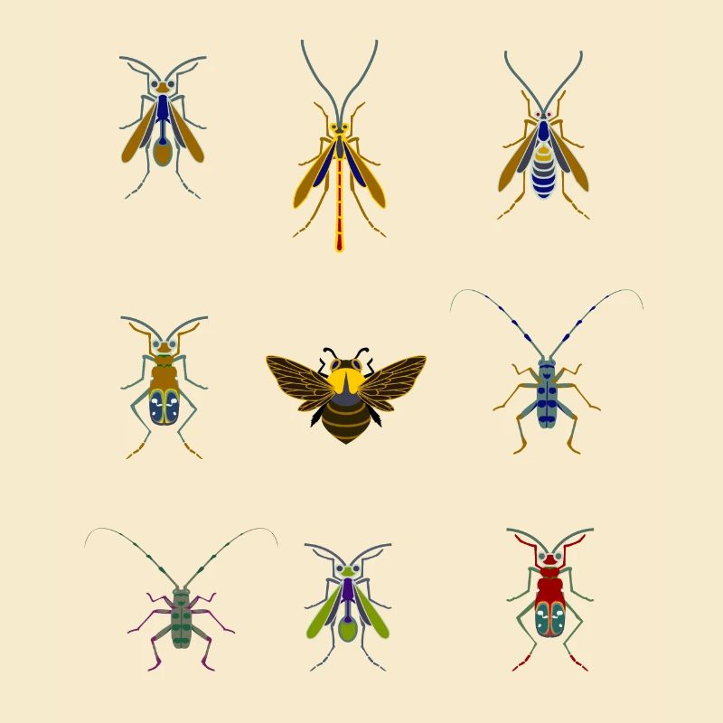 insects mosquitoes bee sting overview fly bug