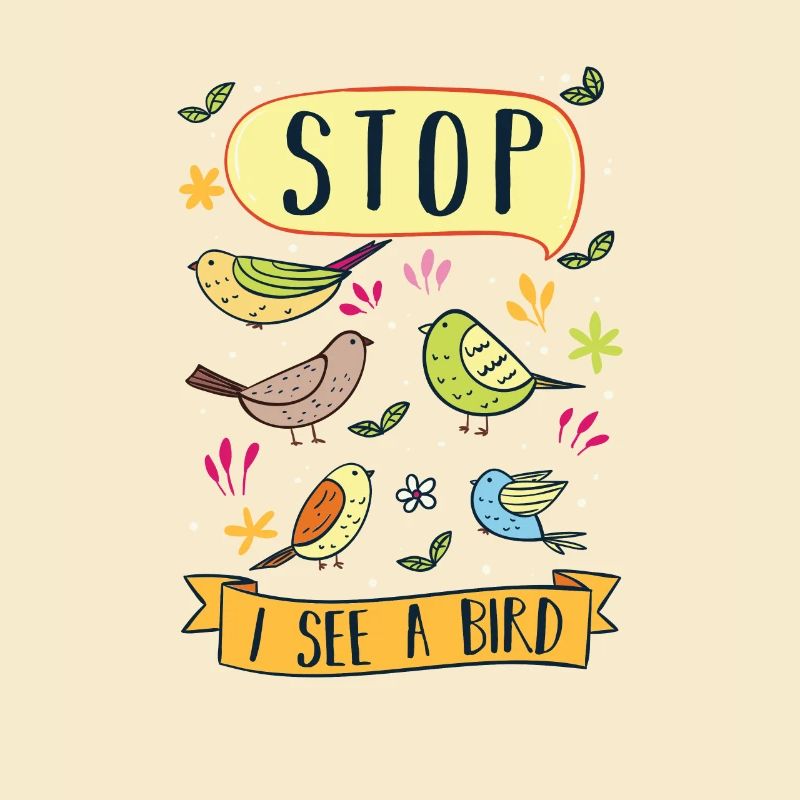 Bird Watching