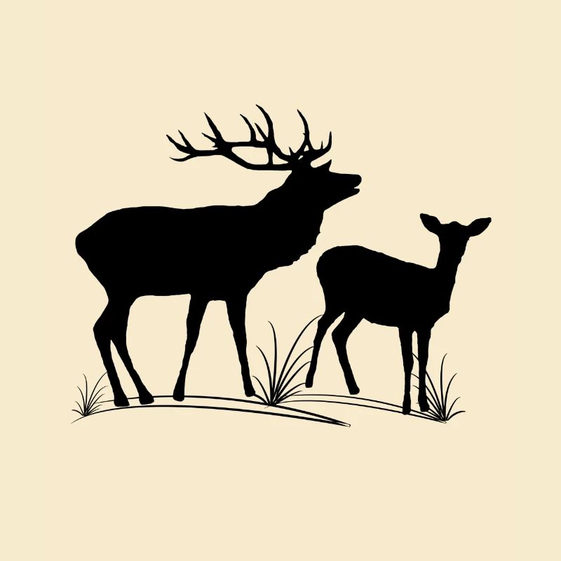 Deer, roe deer, fallow deer, forest, animals, deer