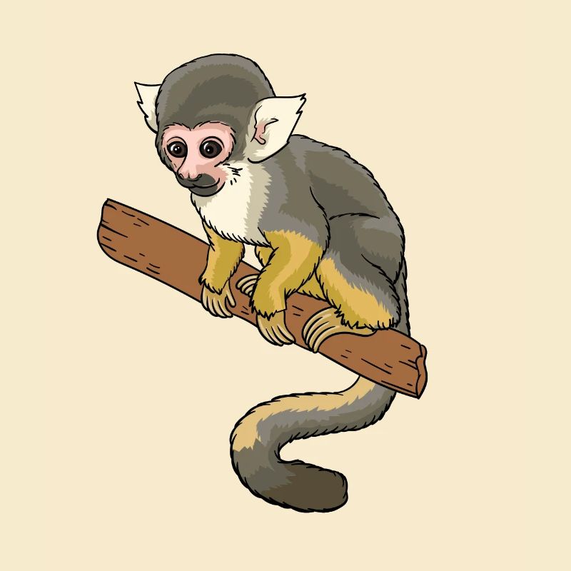 Singe écureuil primate singe écureuil