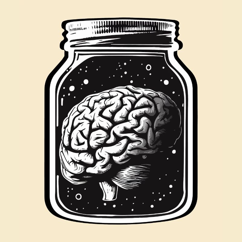 A BRAIN IN A JAR