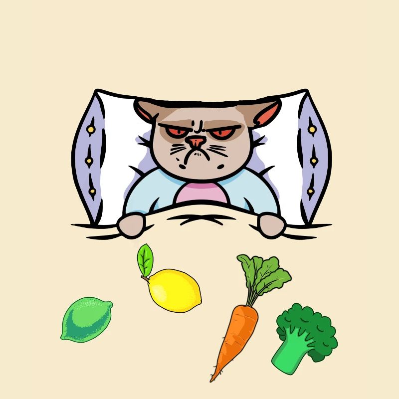 Chat Grippe Lit Vitamines Santé Malade