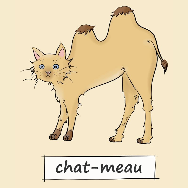 Chat-meau