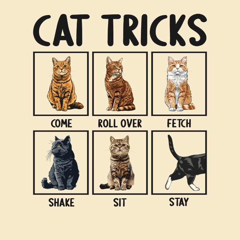 Chat Chats Astuces Chats Drôles