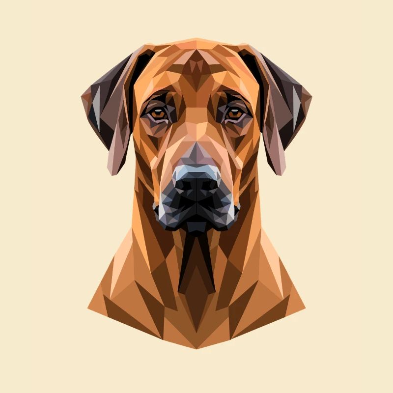 Rhodesian Ridgeback Jagdhund Hunde Stolz Ridgeback