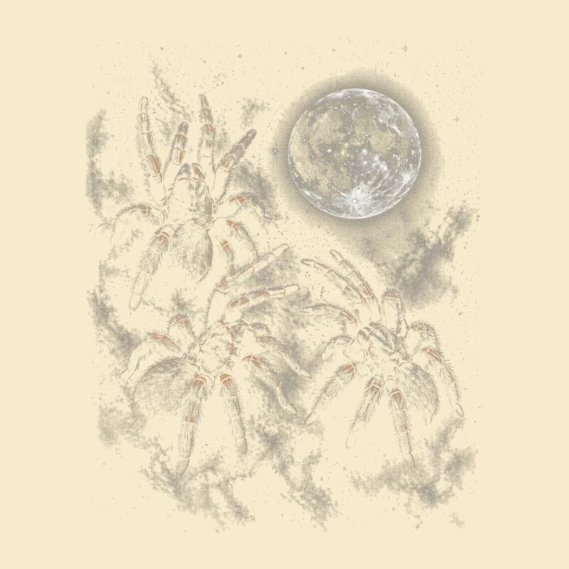 Lunar Night Tarantula Scene