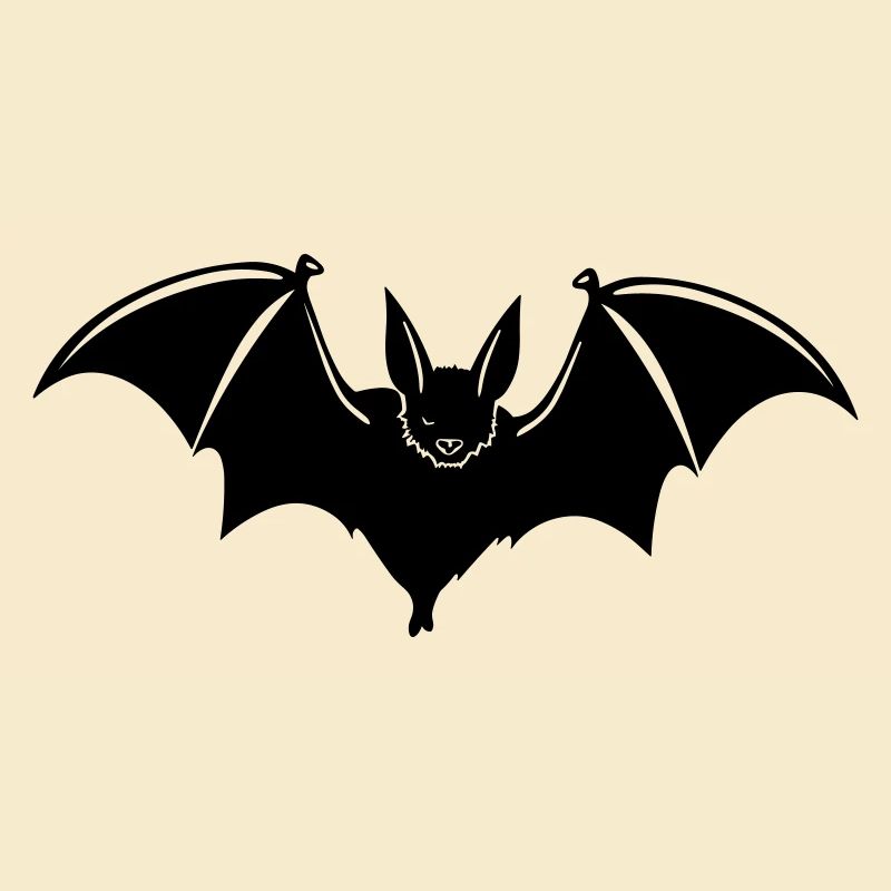 Bat