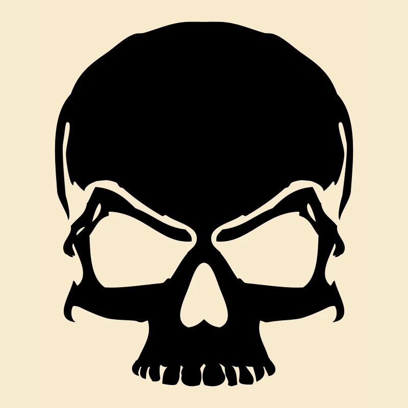 skull pirate skull