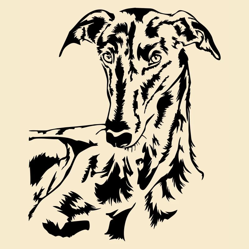 Galgo Kopf
