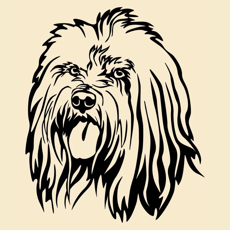 Tête de terrier tibétain