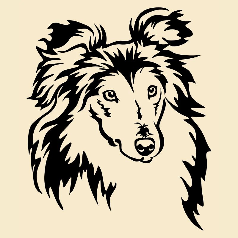 Tête de Sheltie