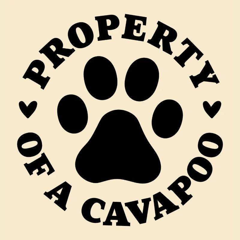 Propriété d’un Cavapoo