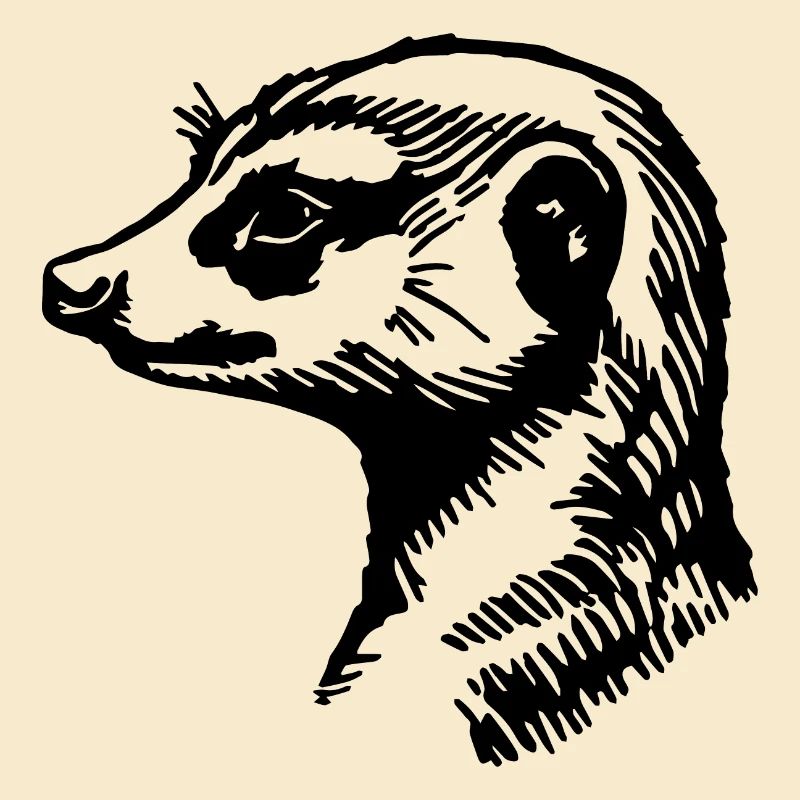 Suricate