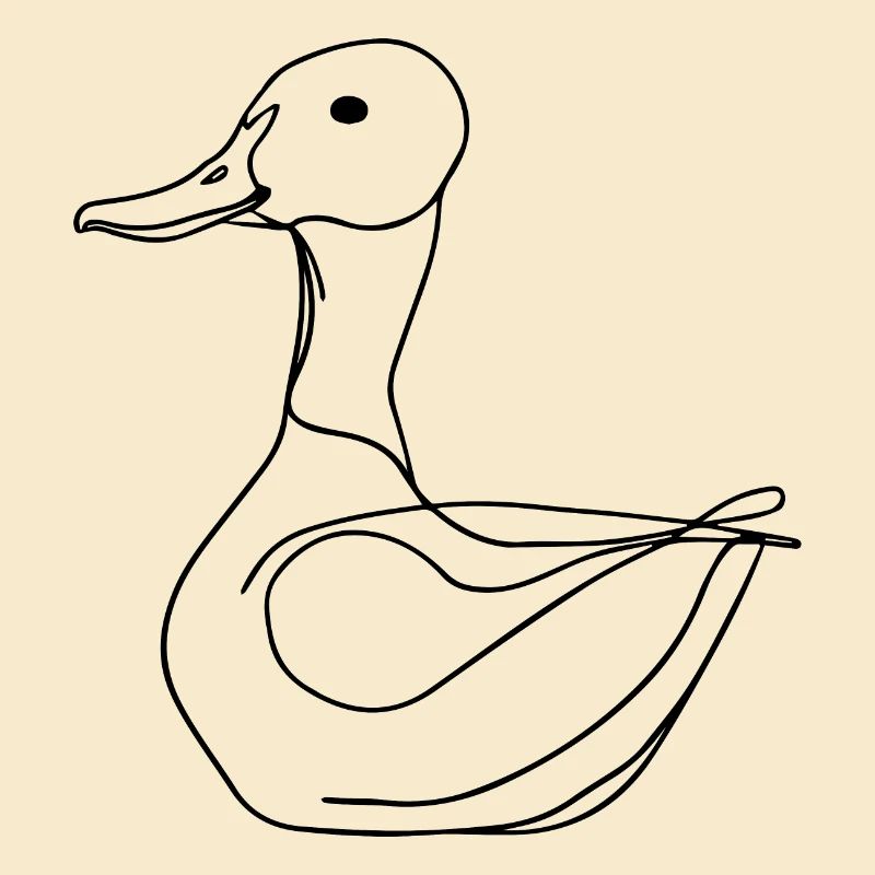 Canards
