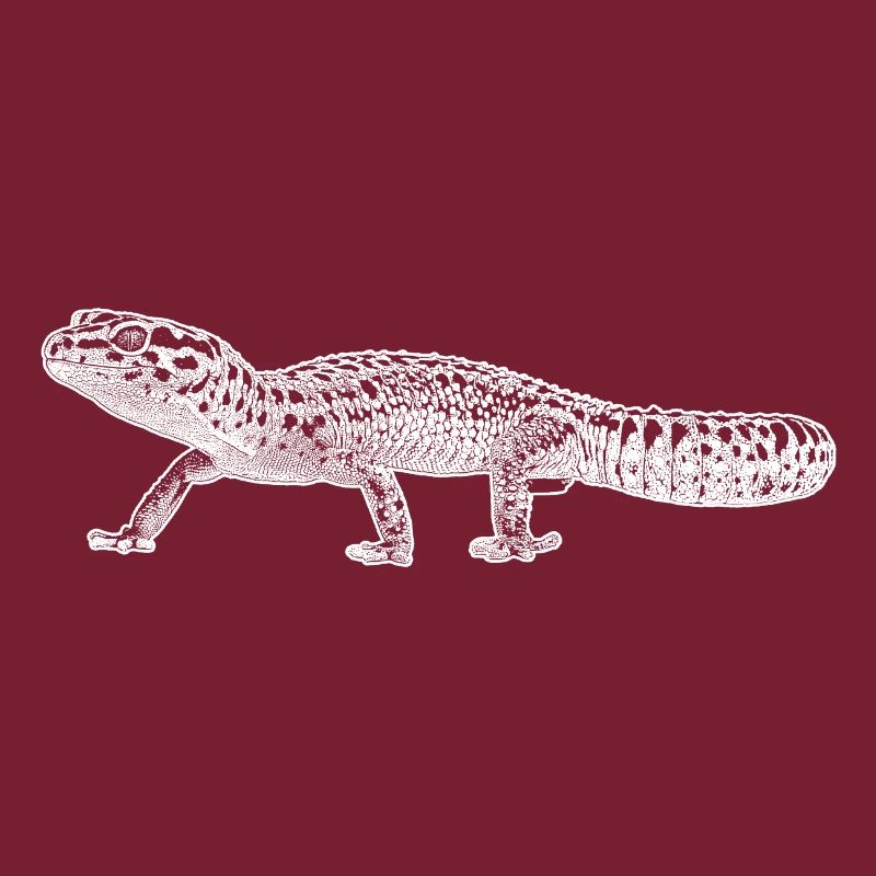 Leopard gecko