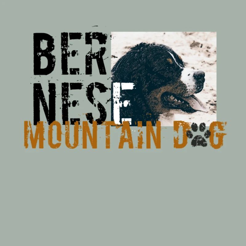 Berner Mountaindog