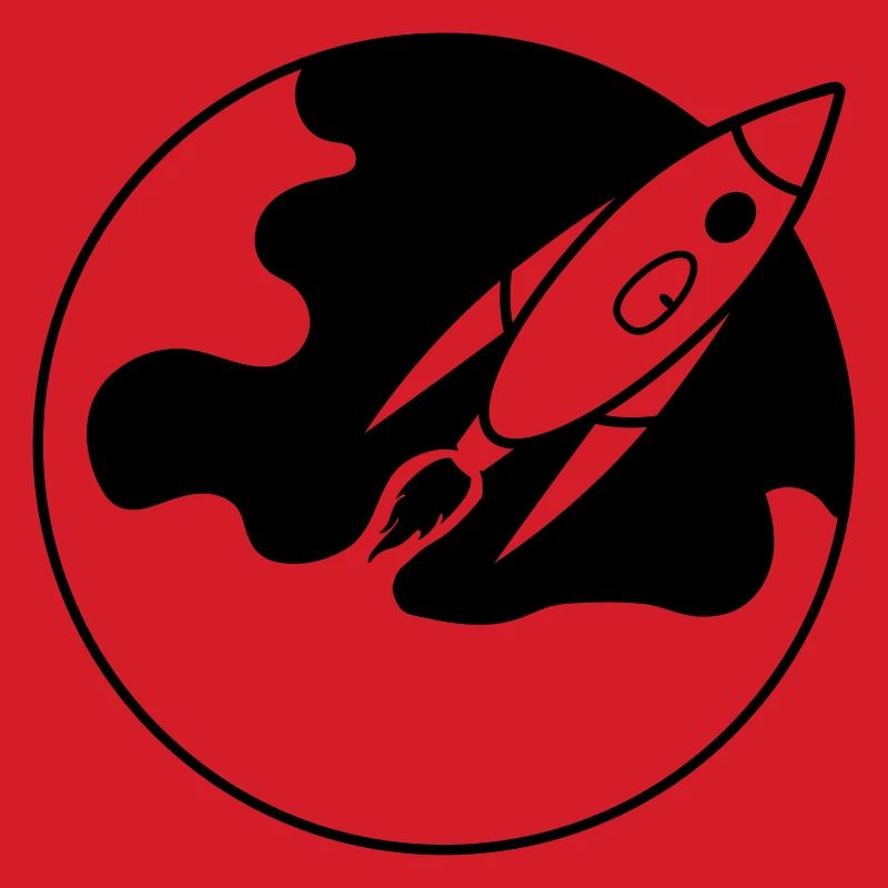 The rocket takes off
