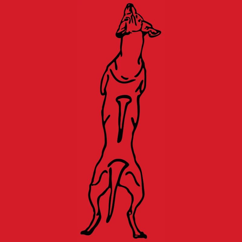 Ridgeback back