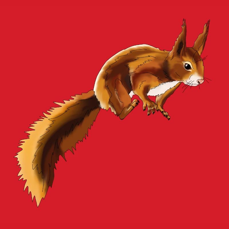 Squirrel 1