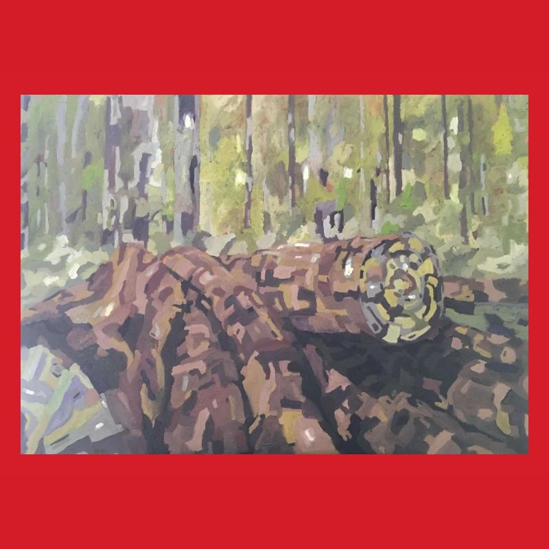 Logs in the forest – an impressionistic landscape