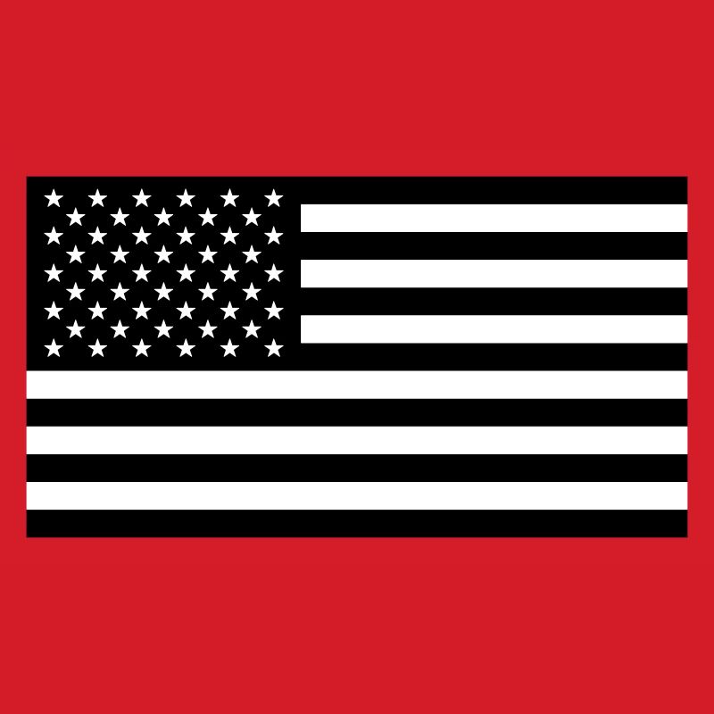 LE DRAPEAU AMÉRICAIN