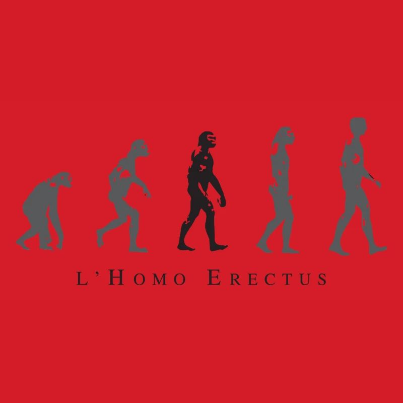 Evolution der menschlichen Haltung
