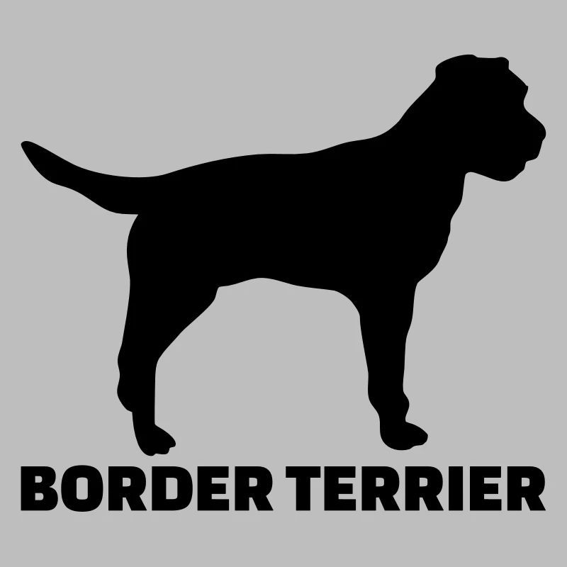 Border Terrier
