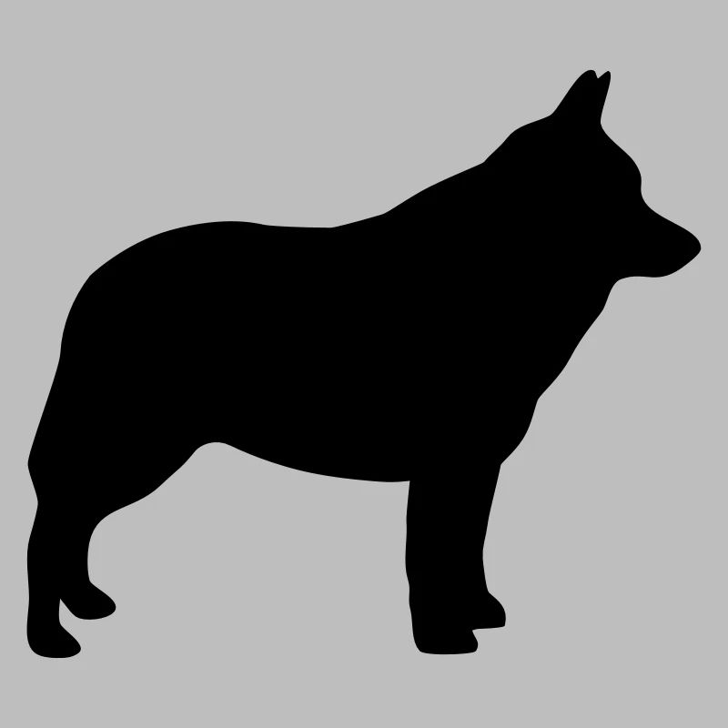 Schipperke