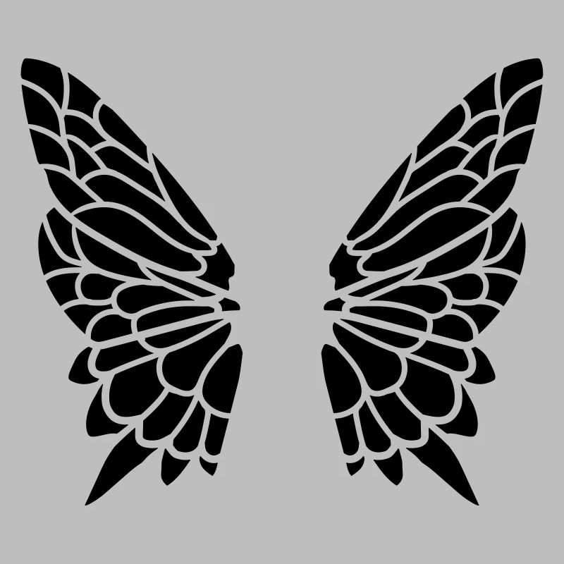 Aile du papillon