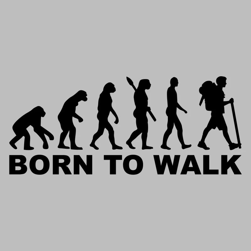 Évolution Cheminement