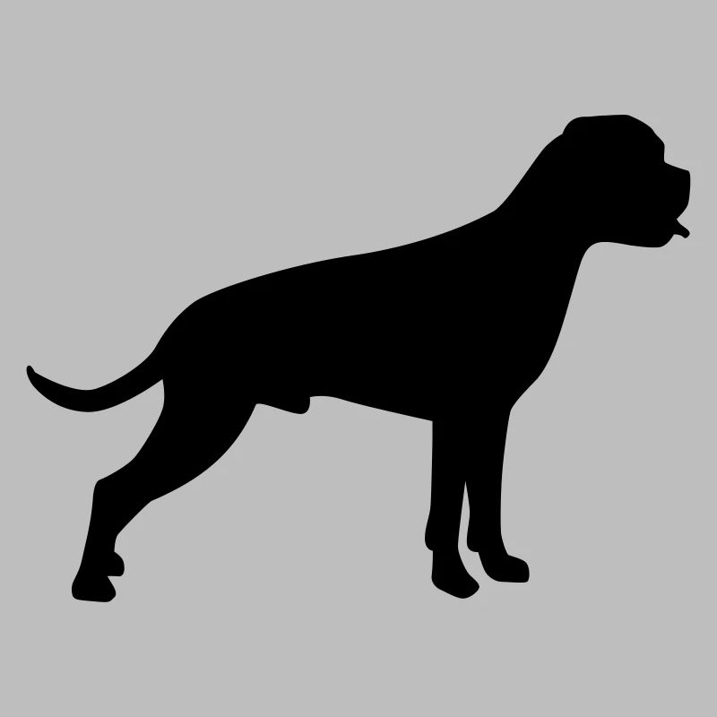 Boxer