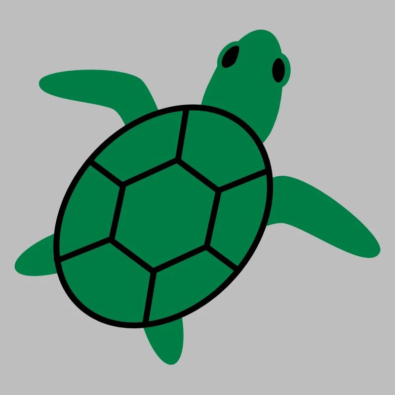turtle