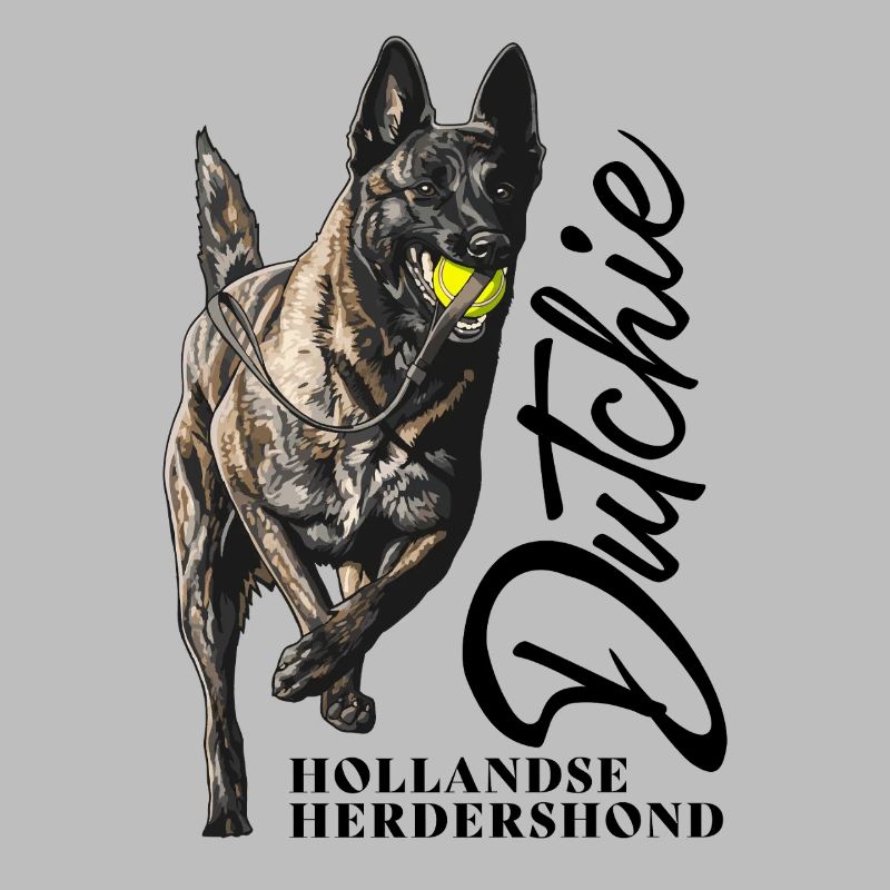 Dutch Shepherd – Dutchie