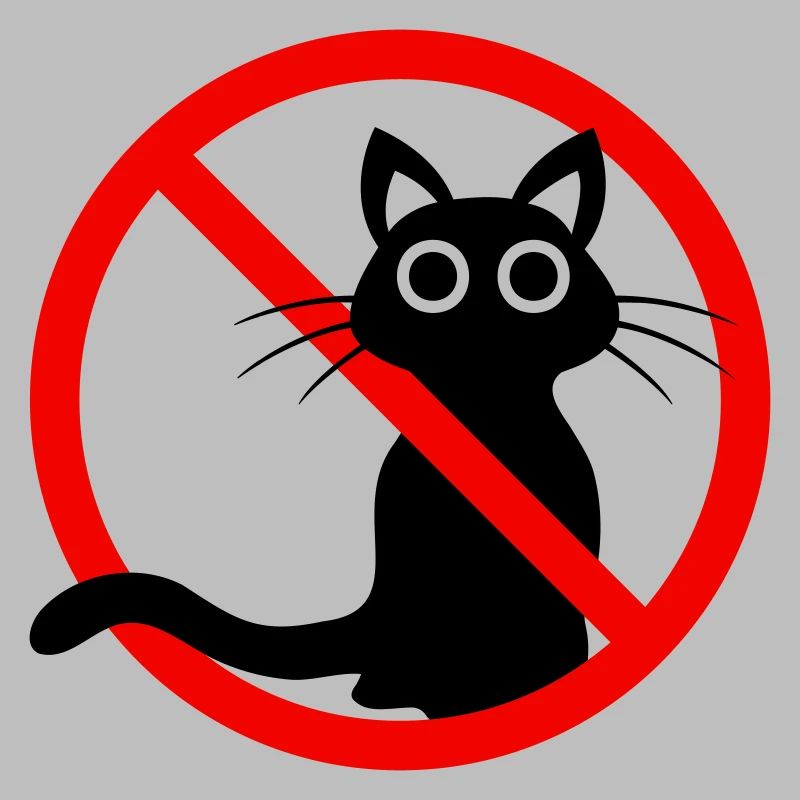 Chat noir interdit