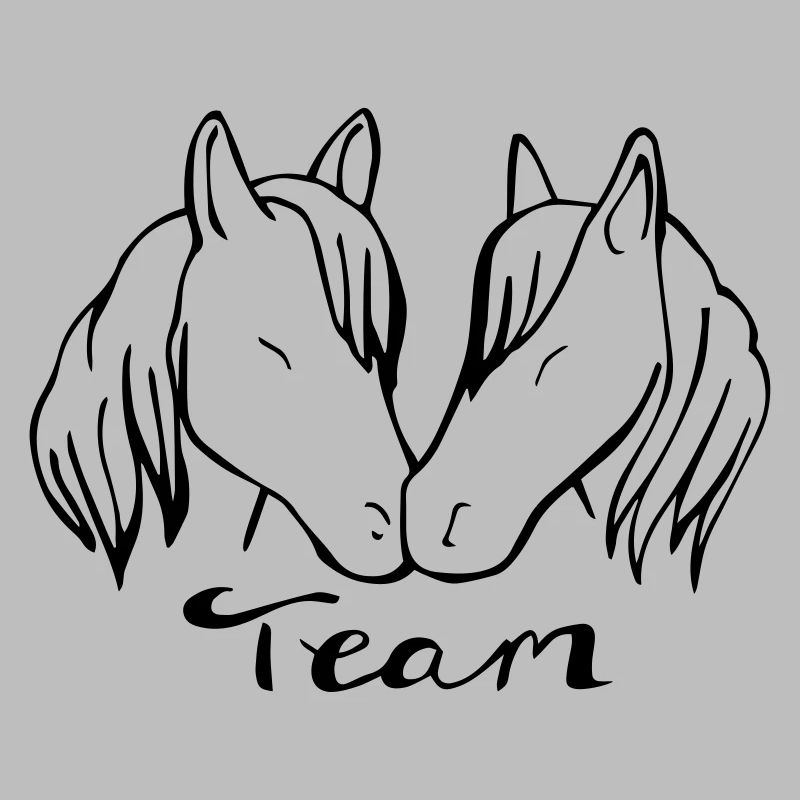 Team Pferd
