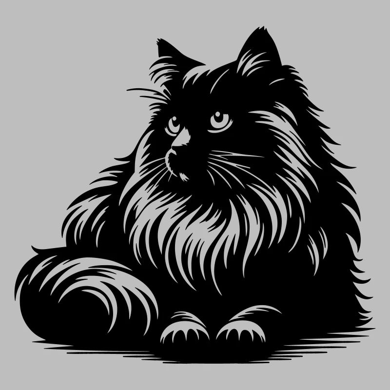 Ragdoll Katze