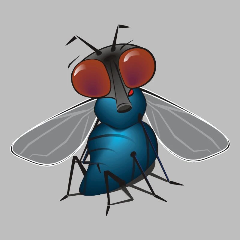 fliege