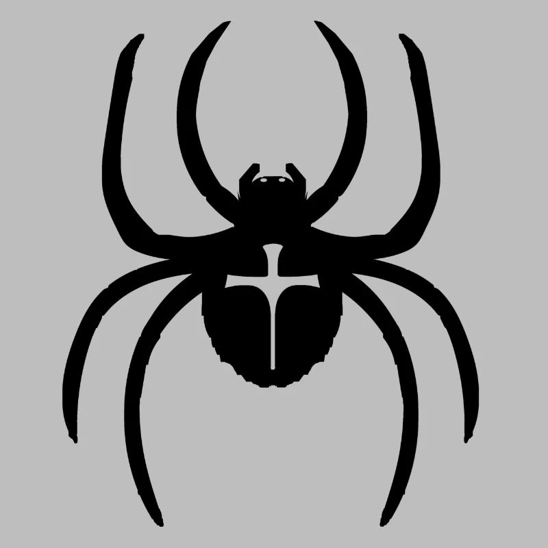 spider