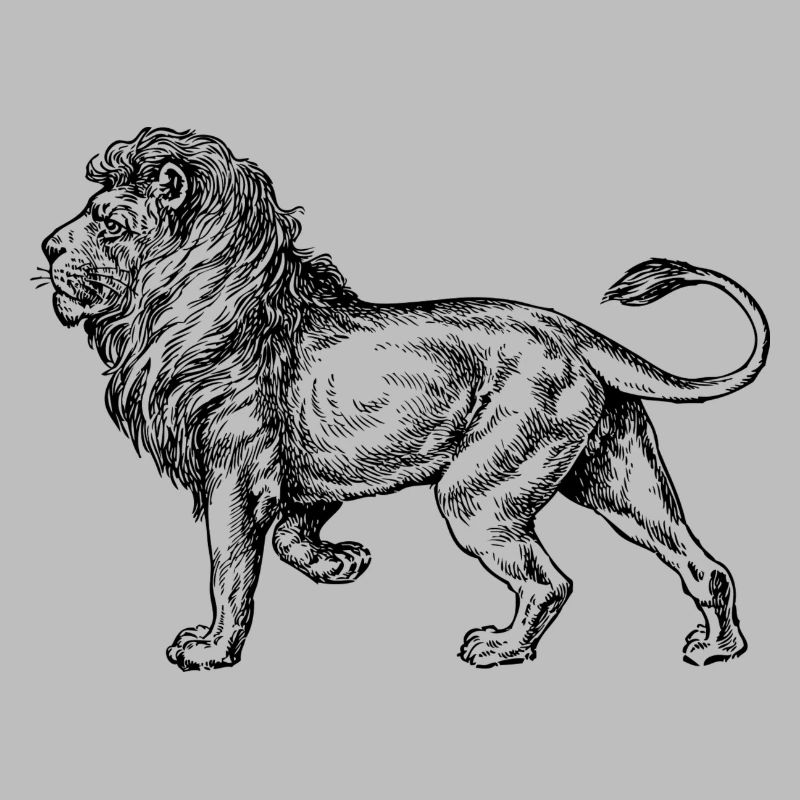 Big noir de lion et withe
