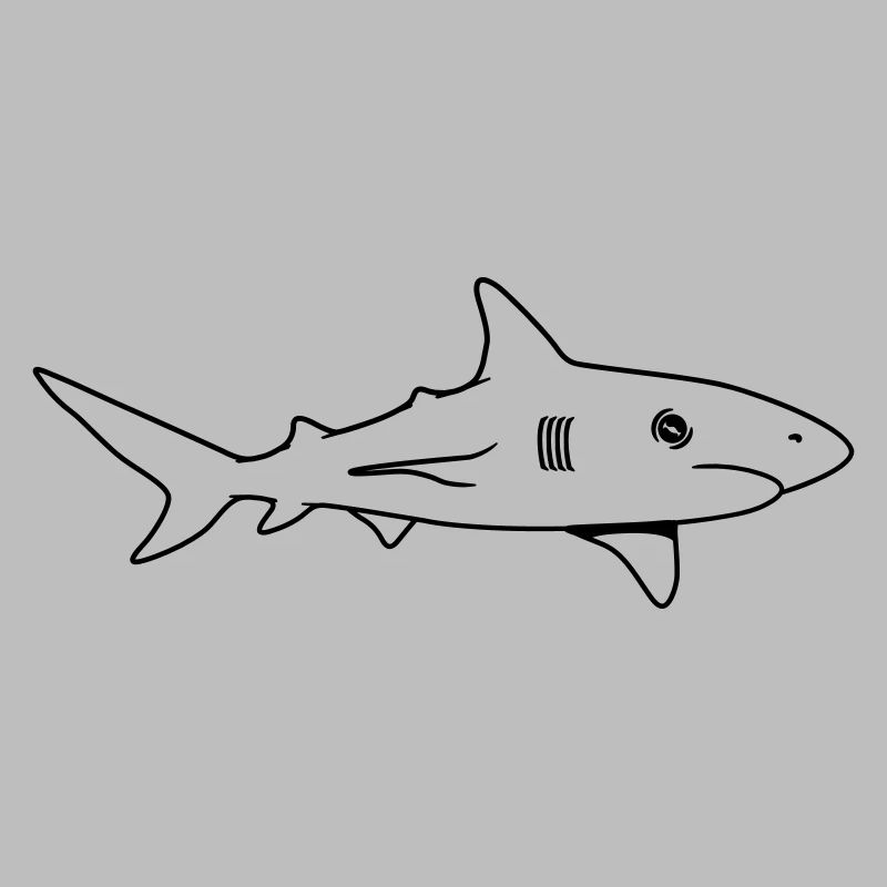 Very long Great white shark