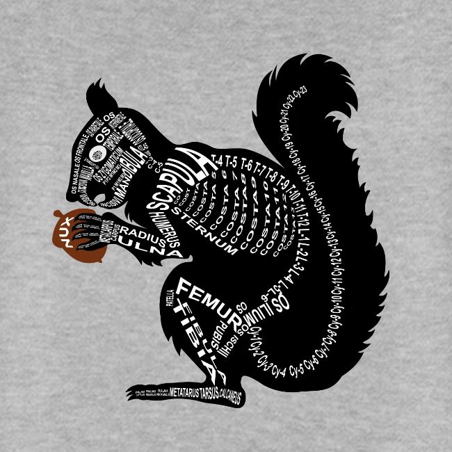 Eichhörnchen
