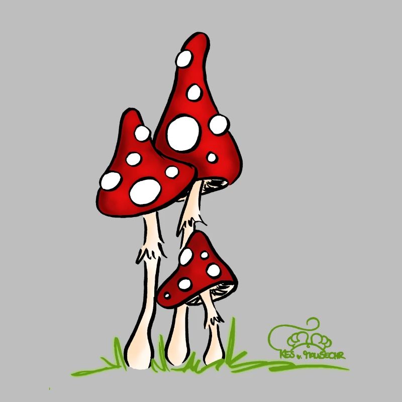 Muchotravky - Toadstools