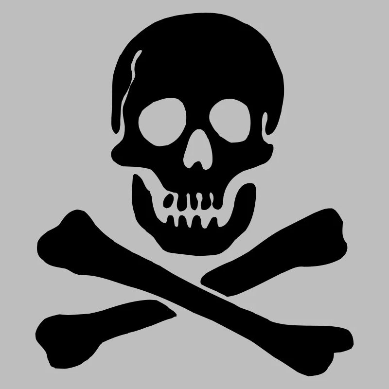Drapeau pirate Crâne avec os croisés