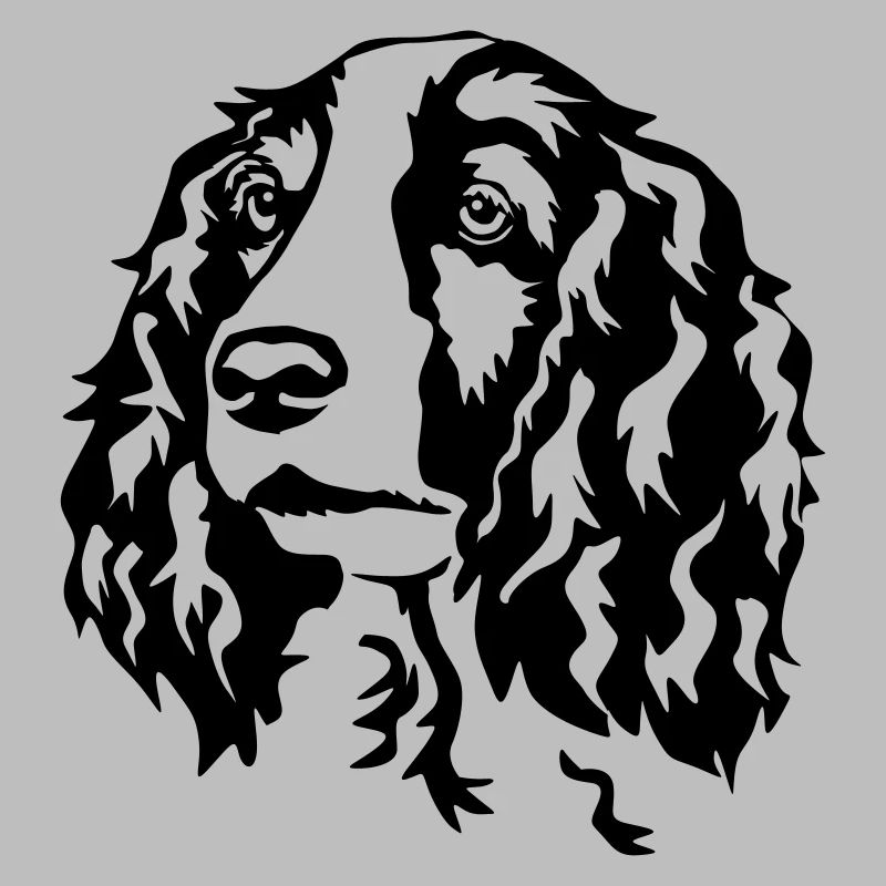 Welsh Springer Spaniel head