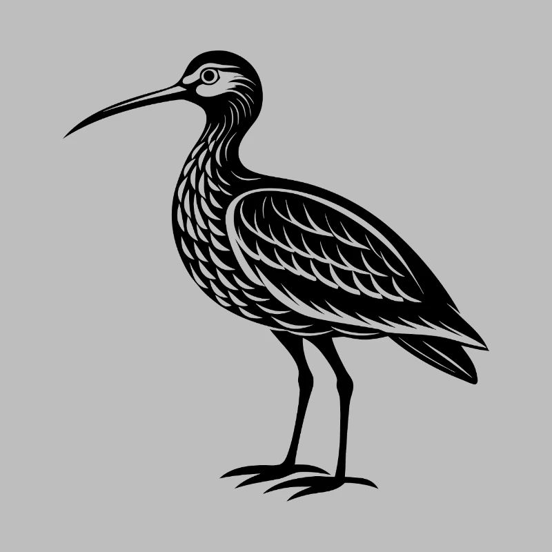 Regenvogel