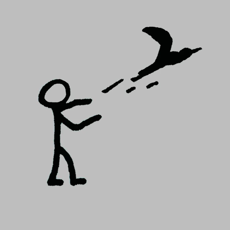 Let fly