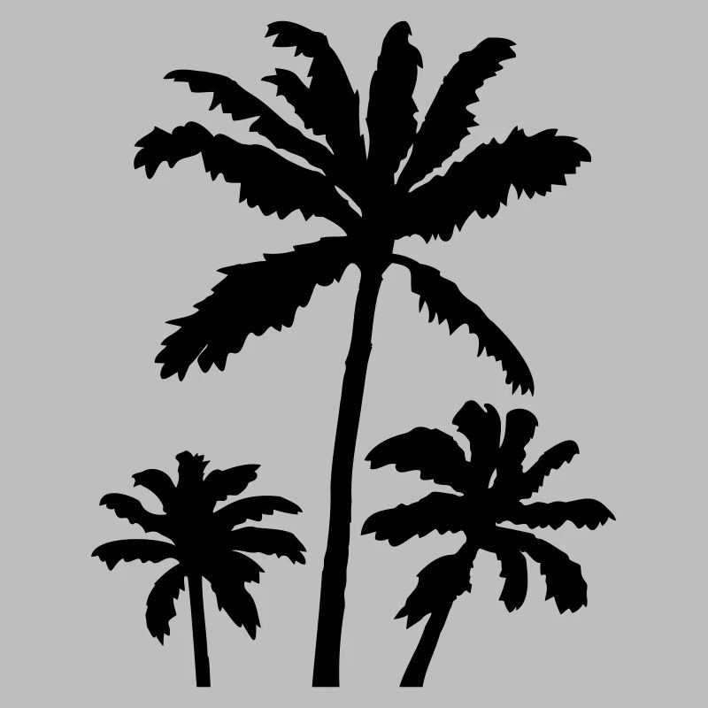 Palm Silhouette Sunset